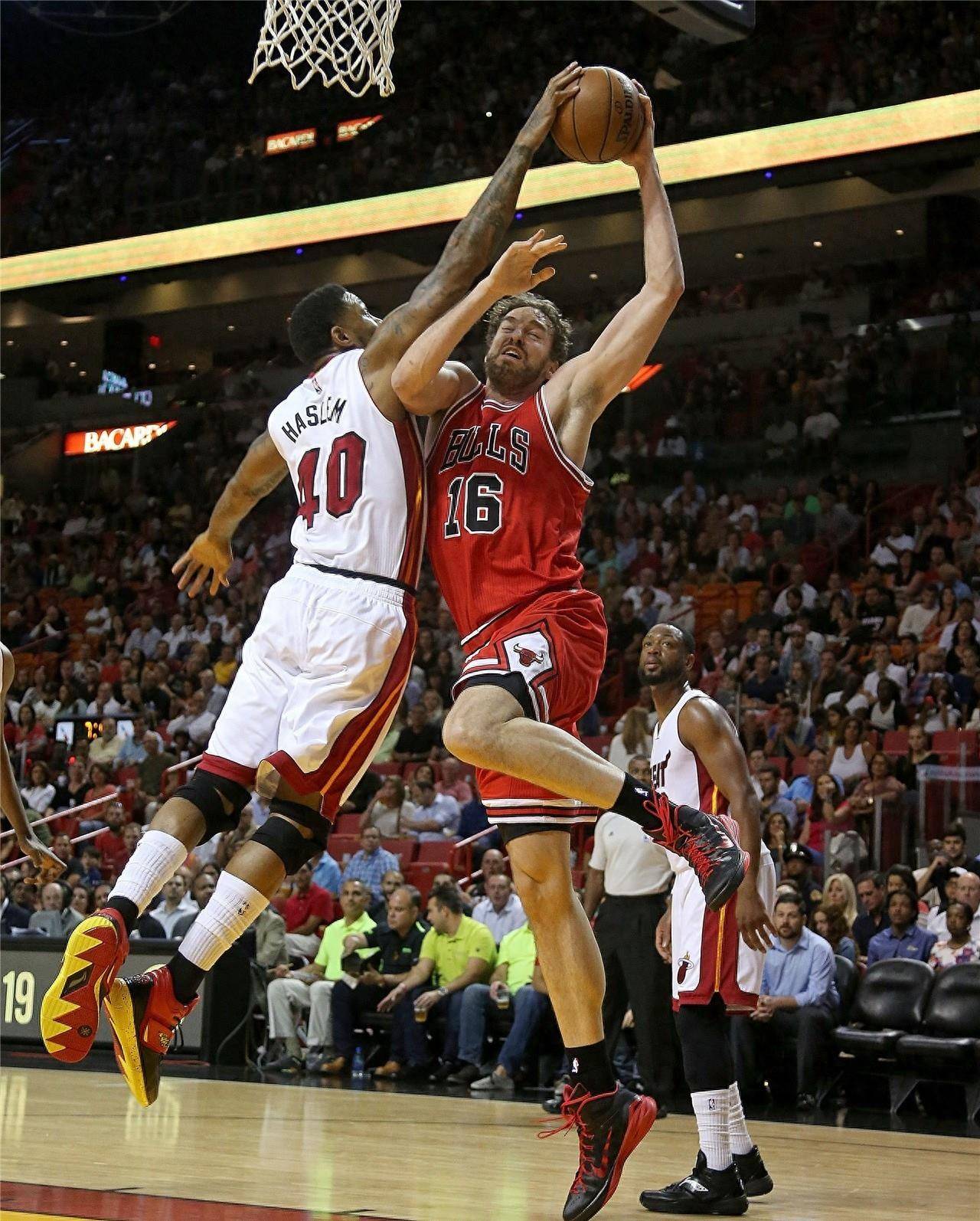 手接力主宰 手接力主宰