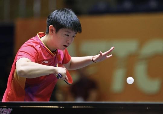 章在相关的 章在相关的