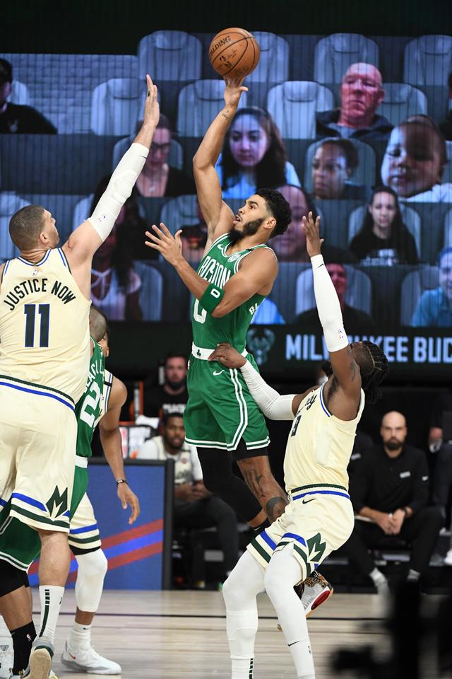 育树立了新 育树立了新